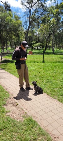 Imagen 3 de servicio