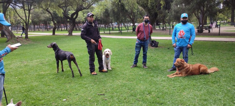 Imagen 4 de servicio