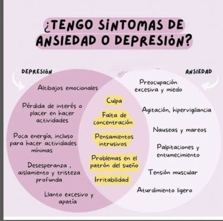 Imagen principal del servicio