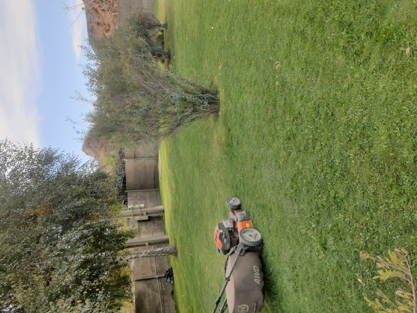 Imagen 3 de servicio