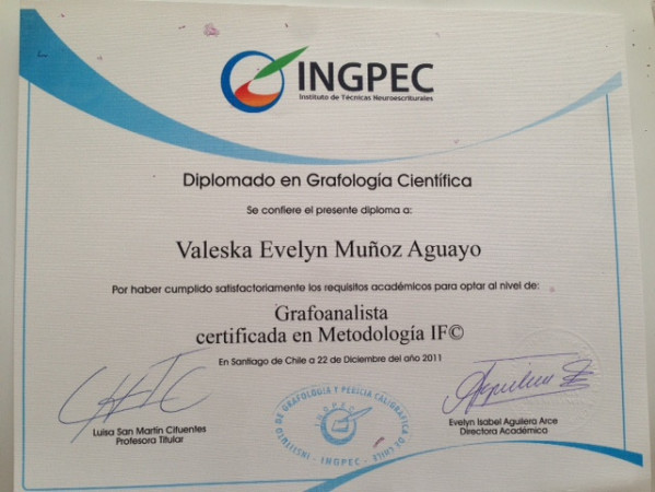 Imagen 1