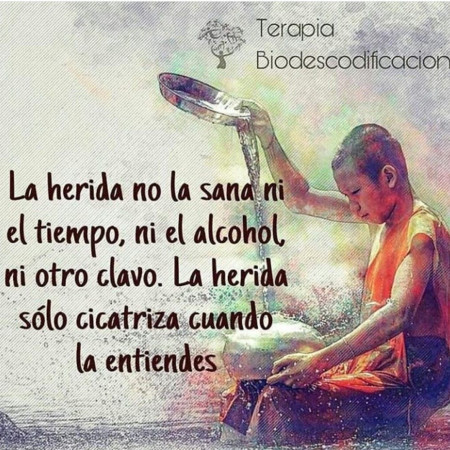 Imagen 16 de servicio