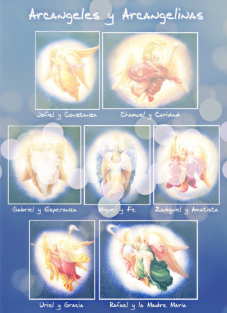 Imagen 26 de servicio