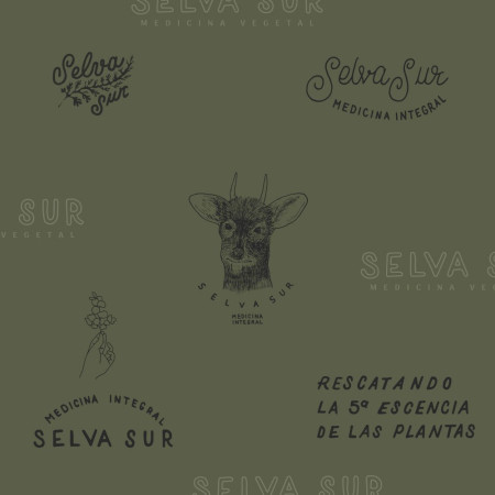Imagen 4 de servicio