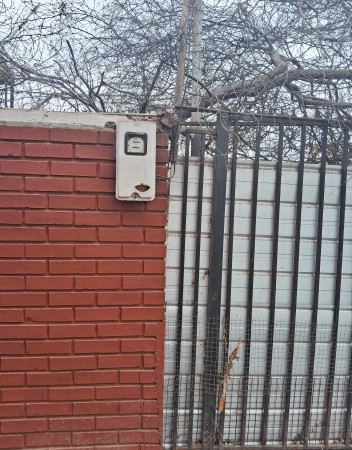 Imagen principal del servicio