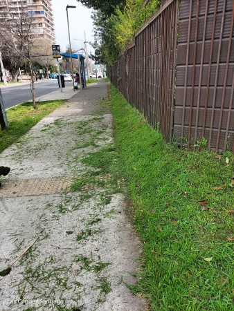 Imagen 3 de servicio