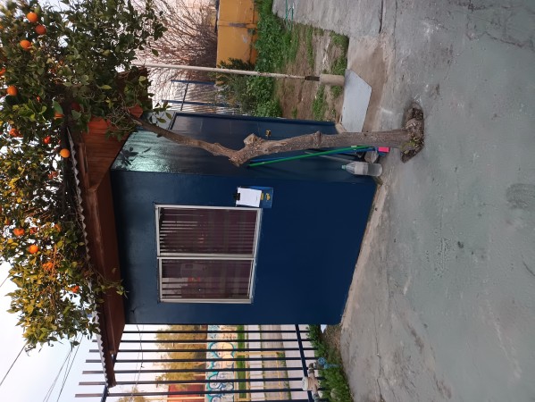 Imagen 21 de servicio