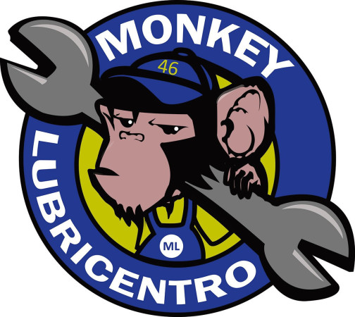 Imagen 10 de servicio