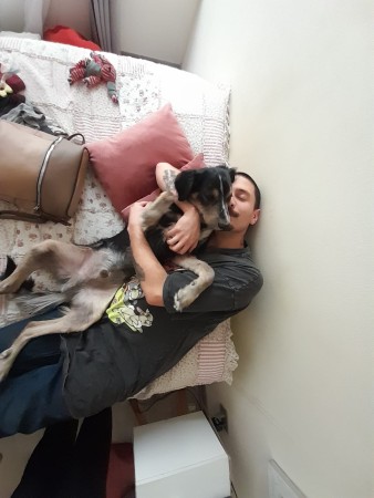 Imagen 2