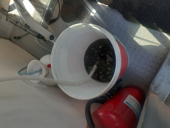 Imagen 96 de servicio
