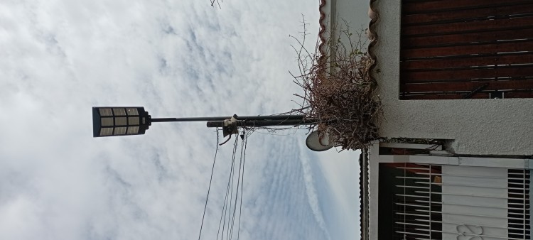 Imagen 5 de servicio