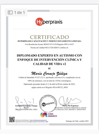 Imagen 5 de servicio