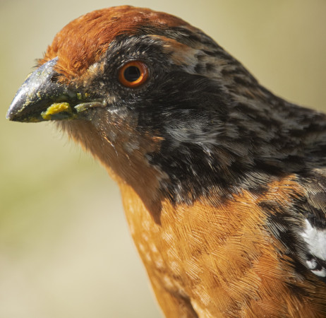 Imagen 4 de servicio