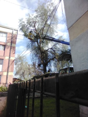 Imagen 0