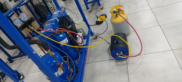 Imagen 55 de servicio