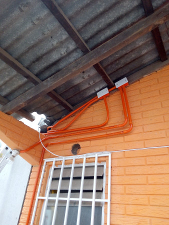 Imagen 5 de servicio