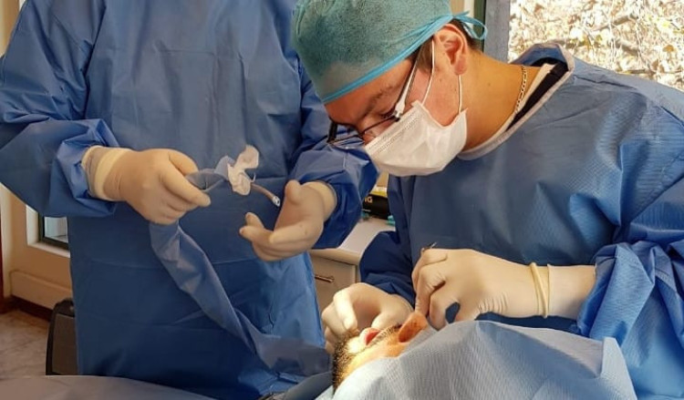 Imagen 1