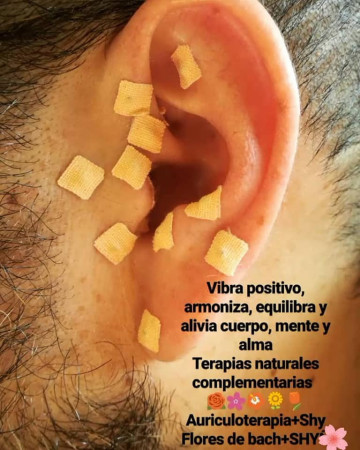 Imagen 0
