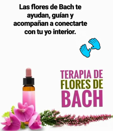 Imagen 3 de servicio