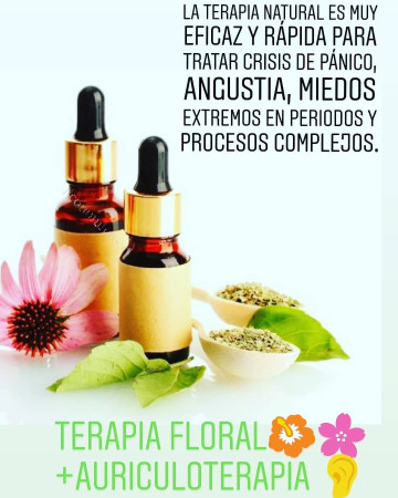 Imagen 8 de servicio