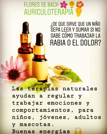 Imagen 7 de servicio