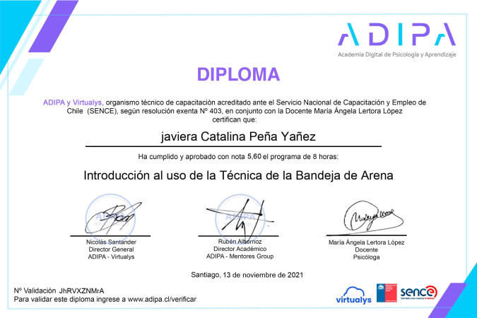 Imagen 6 de servicio