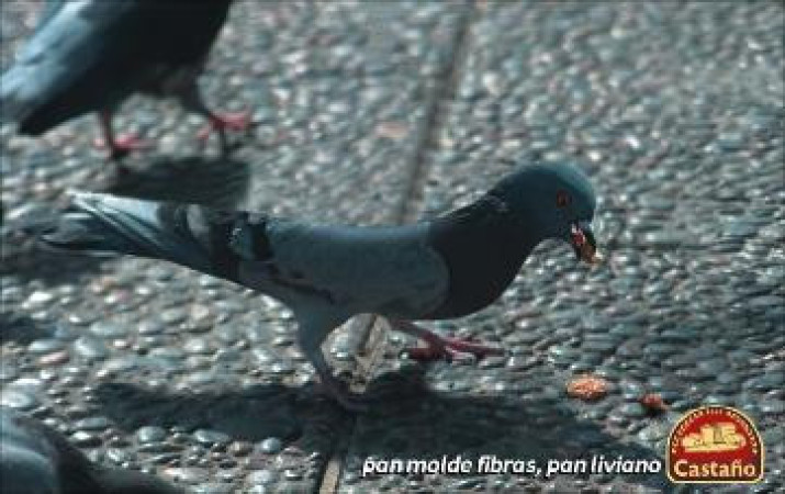 Imagen 18 de servicio