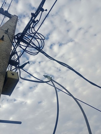 Imagen 9 de servicio