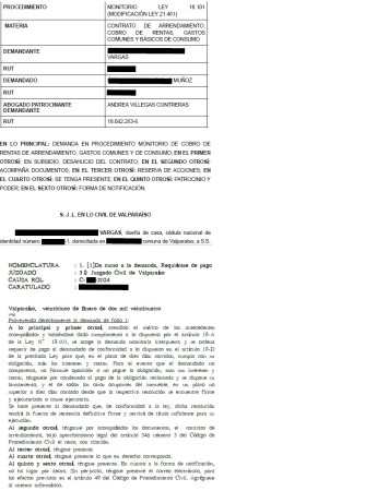 Imagen 7 de servicio