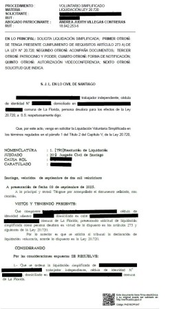 Imagen 6 de servicio