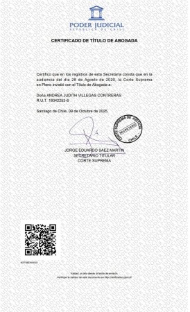 Imagen 10 de servicio