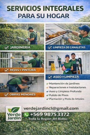 Imagen 2