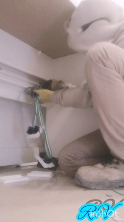 Imagen 7 de servicio