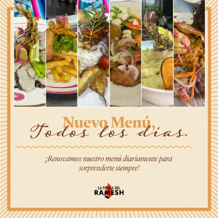 Imagen 6 de servicio