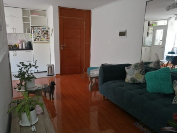 Imagen 2