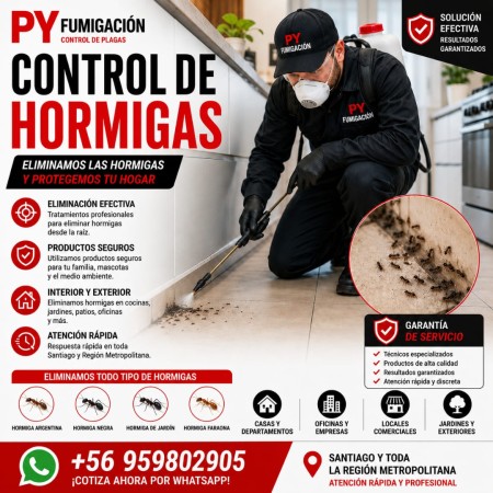 Imagen 3 de servicio