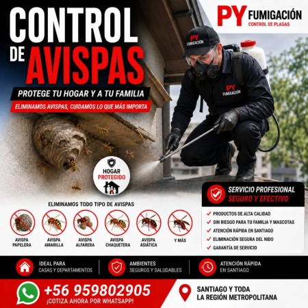 Imagen 9 de servicio