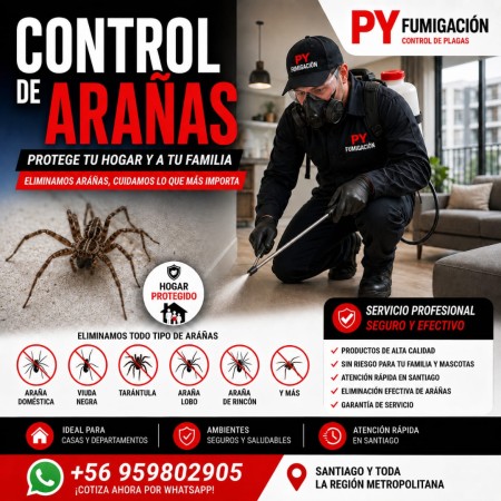 Imagen 10 de servicio