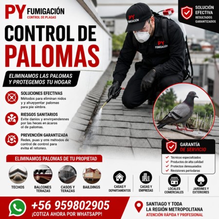 Imagen 12 de servicio