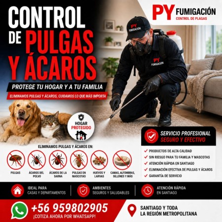 Imagen 13 de servicio
