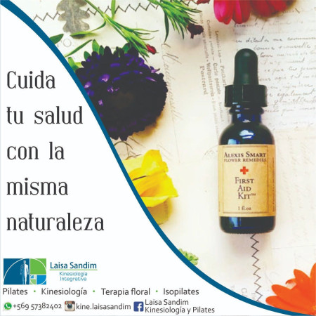 Imagen 2