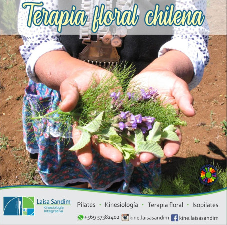 Imagen 7 de servicio