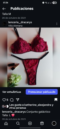 Imagen 19 de servicio