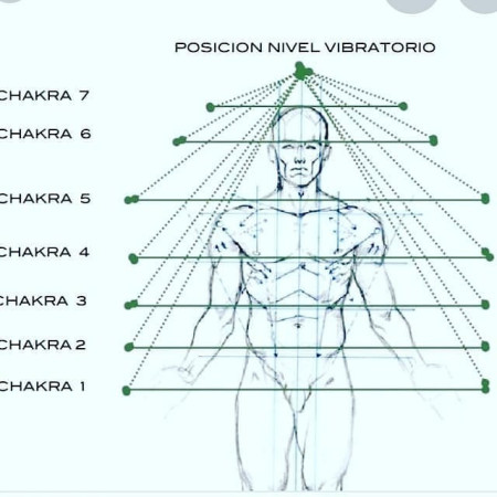 Imagen 12 de servicio