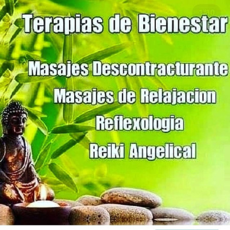 Imagen 17 de servicio