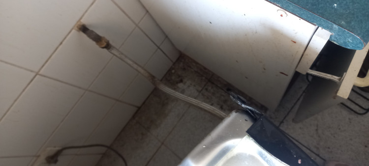 Imagen 4 de servicio