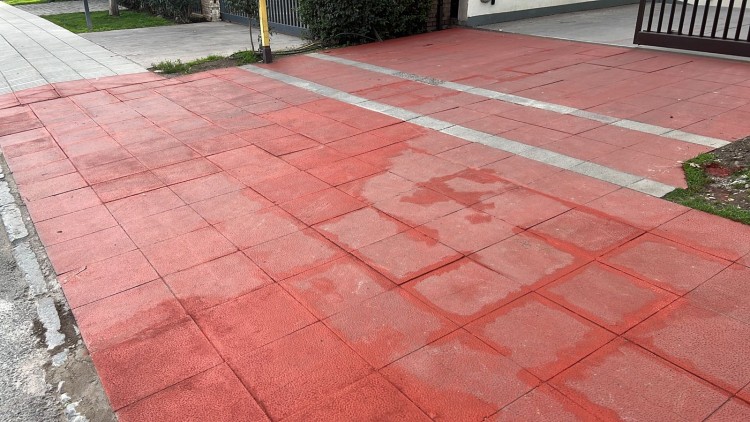 Imagen 8 de servicio