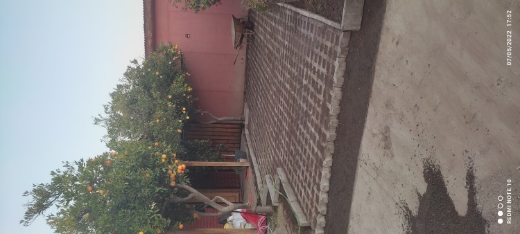 Imagen 13 de servicio
