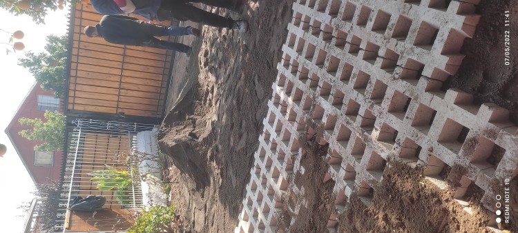 Imagen 10 de servicio