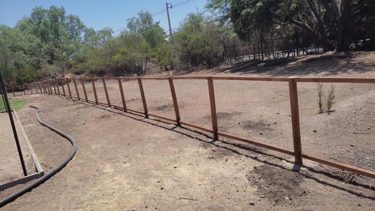 Imagen 26 de servicio